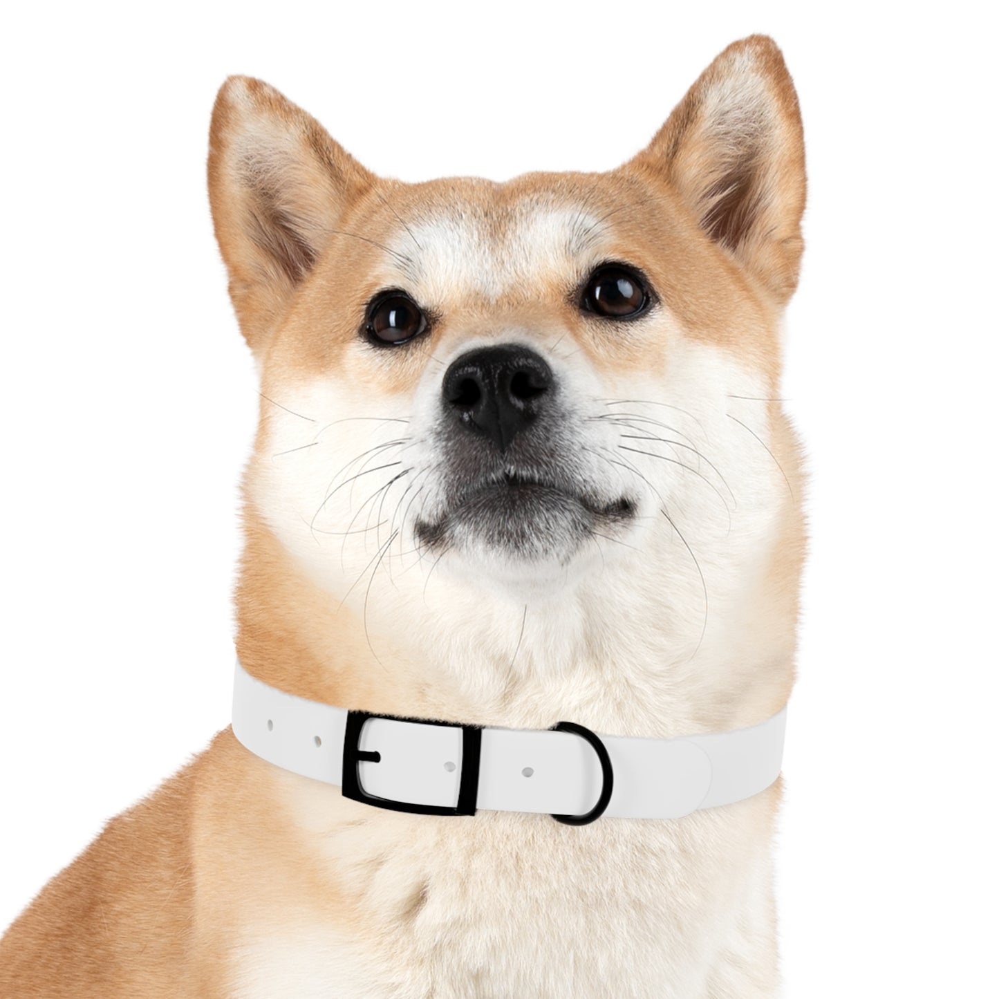do good. feel good. Dog Collar