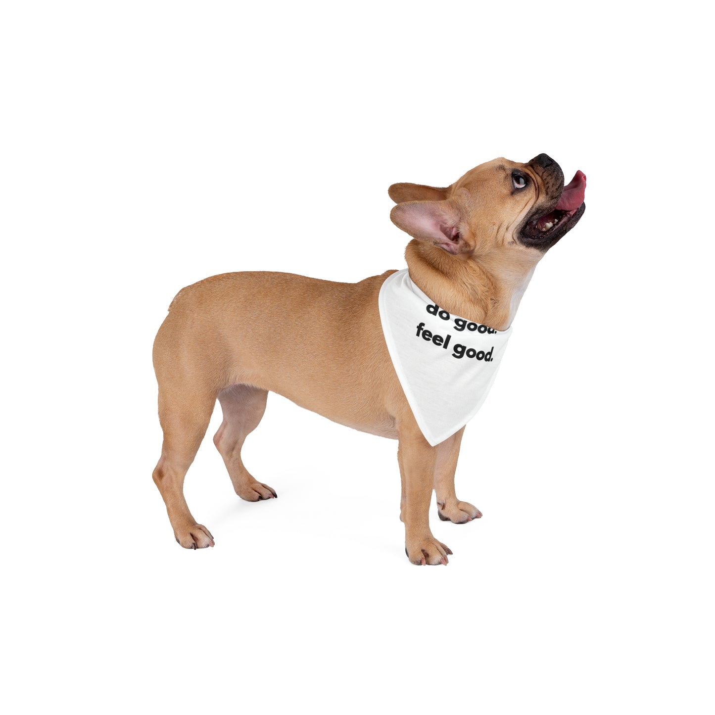 Pet Bandana - do good. feel good.