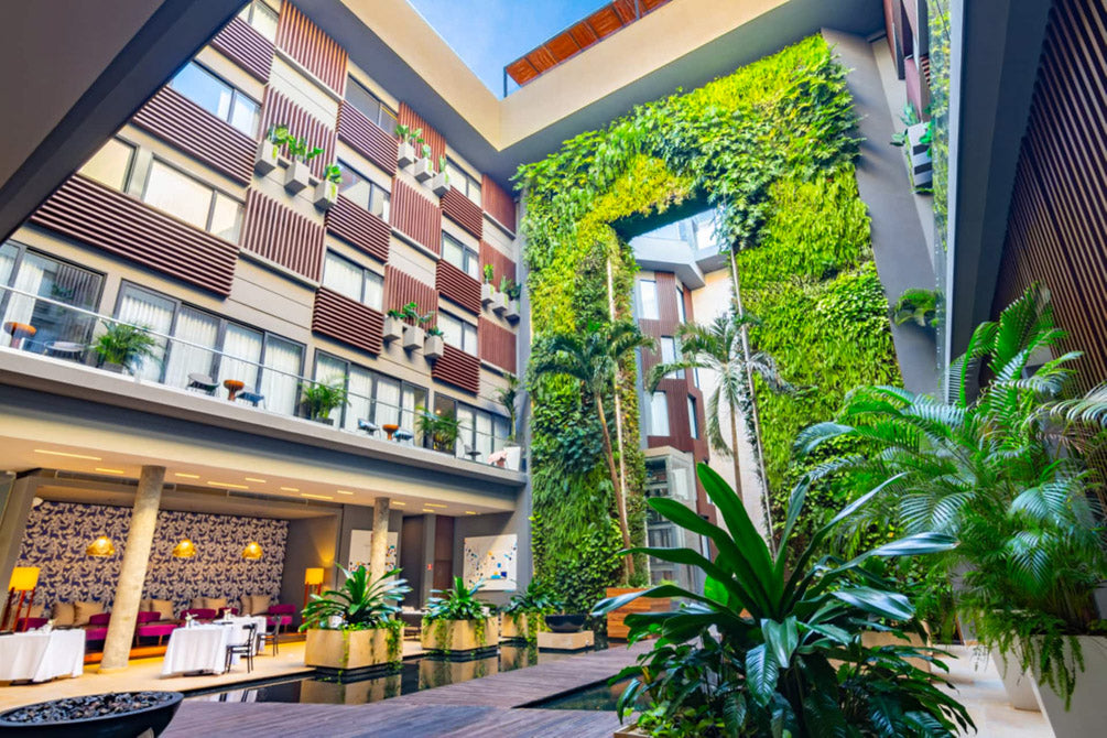Panoramic Ocean Views Along the Playa [8 Days - 7 Nights in Playa del Carmen, Mexico]